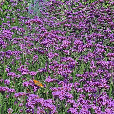 Dom wakacyjny Clochan Na Mara - Liscannor, County Clare & Wild Atlantic Way *