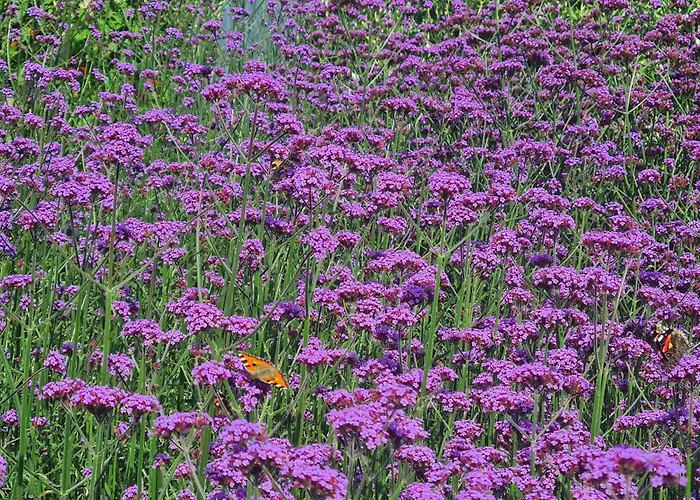 Casa de Férias Clochan Na Mara - Liscannor, County Clare & Wild Atlantic Way *